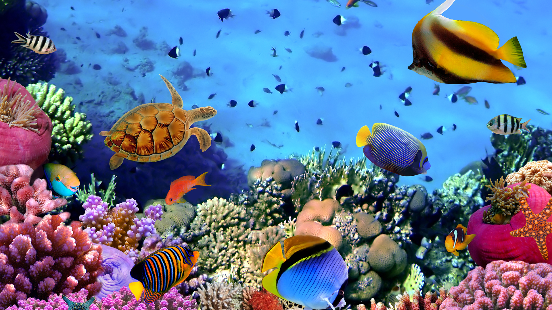 Image Related to the Content on this Web Page